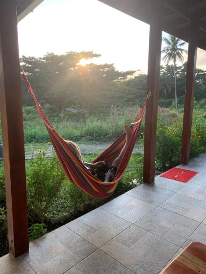 Green Queendom Farm And Lodging Oracabessa المظهر الخارجي الصورة